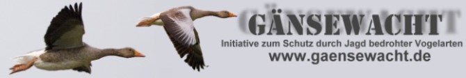 G&auml;nsewacht