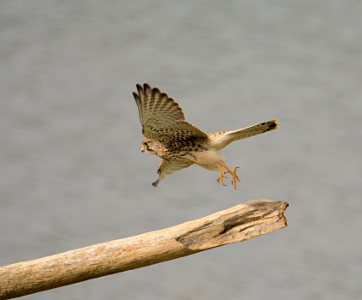 vergr&ouml;&szlig;ern
