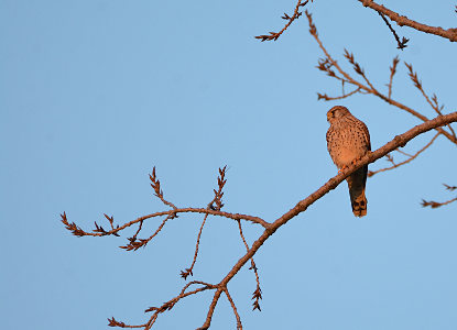 vergr&ouml;&szlig;ern