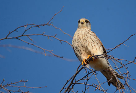 vergr&ouml;&szlig;ern