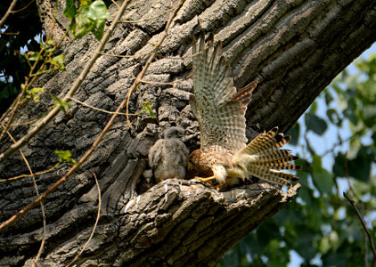 vergr&ouml;&szlig;ern