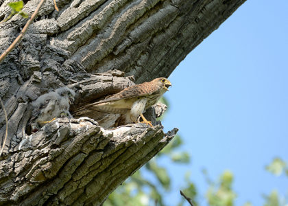 vergr&ouml;&szlig;ern