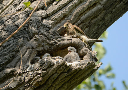 vergr&ouml;&szlig;ern