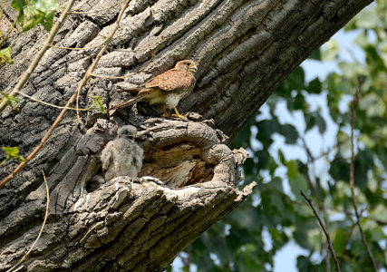 vergr&ouml;&szlig;ern