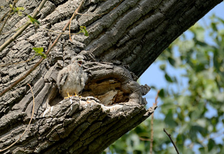 vergr&ouml;&szlig;ern