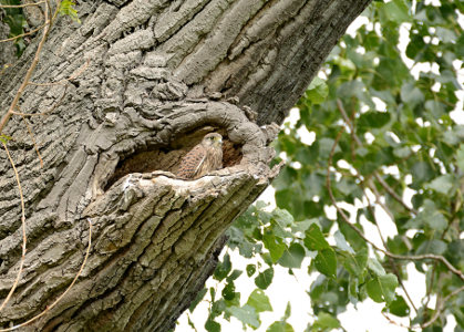 vergr&ouml;&szlig;ern