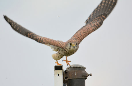 vergr&ouml;&szlig;ern