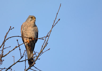 vergr&ouml;&szlig;ern