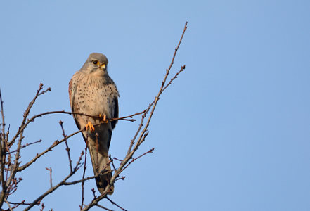 vergr&ouml;&szlig;ern