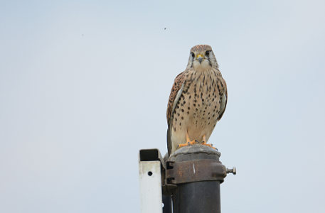 vergr&ouml;&szlig;ern