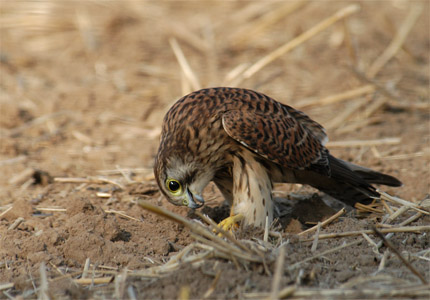 vergr&ouml;&szlig;ern