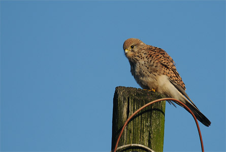 vergr&ouml;&szlig;ern