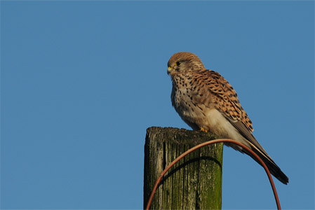 vergr&ouml;&szlig;ern