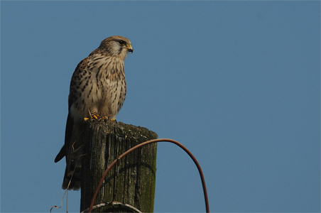 vergr&ouml;&szlig;ern