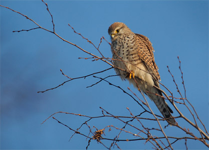 vergr&ouml;&szlig;ern