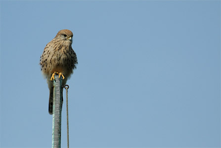 vergr&ouml;&szlig;ern