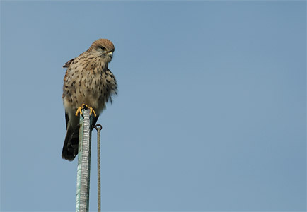 vergr&ouml;&szlig;ern