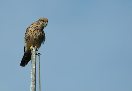 vergr&ouml;&szlig;ern