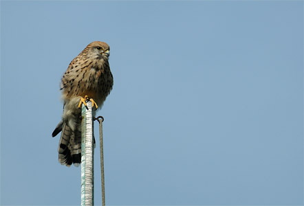 vergr&ouml;&szlig;ern