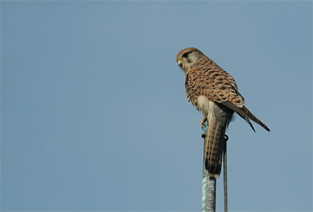 vergr&ouml;&szlig;ern