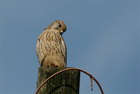 vergr&ouml;&szlig;ern