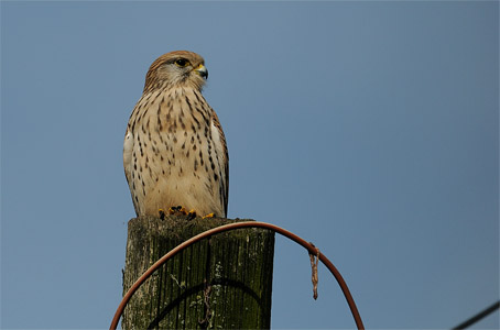 vergr&ouml;&szlig;ern