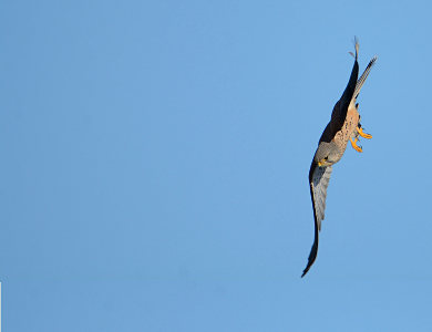 vergr&ouml;&szlig;ern