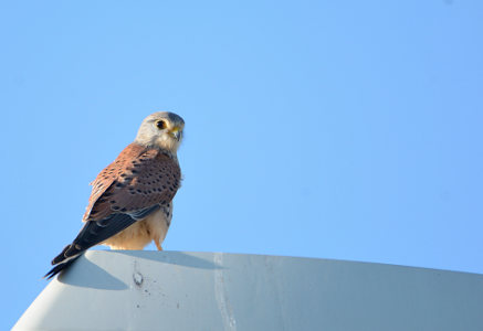 vergr&ouml;&szlig;ern