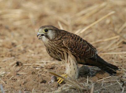 vergr&ouml;&szlig;ern