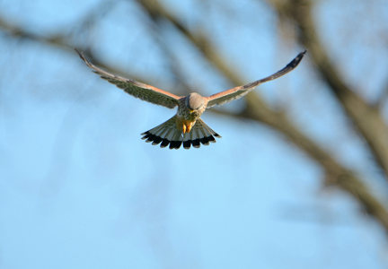 vergr&ouml;&szlig;ern