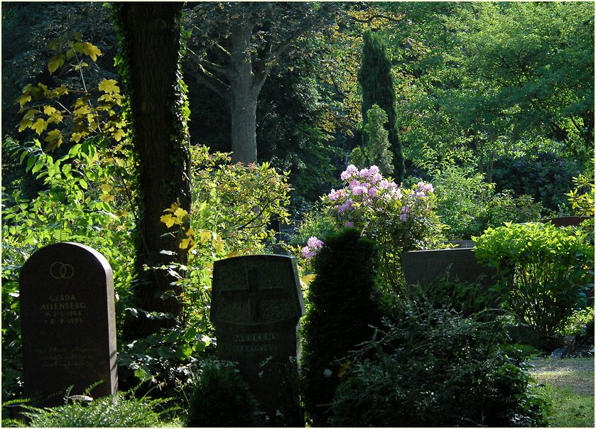 Friedhof