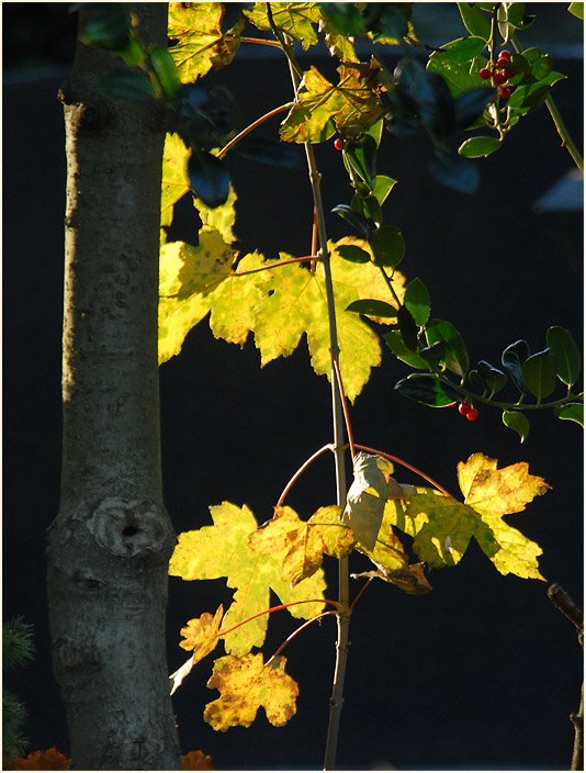 Herbst auf einem Friedhof