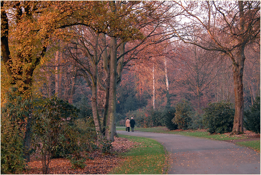 Herbst auf einem Friedhof