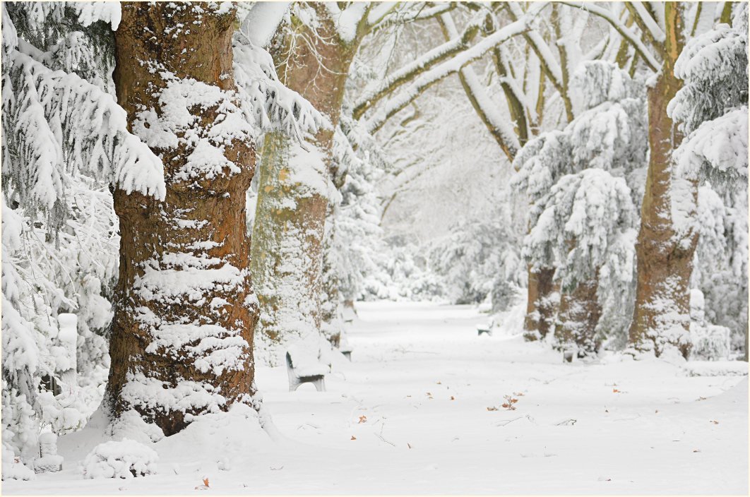 Winter auf einem Friedhof