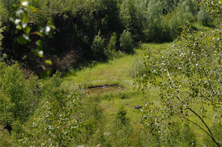 vergr&ouml;&szlig;ern