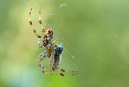 vergr&ouml;&szlig;ern