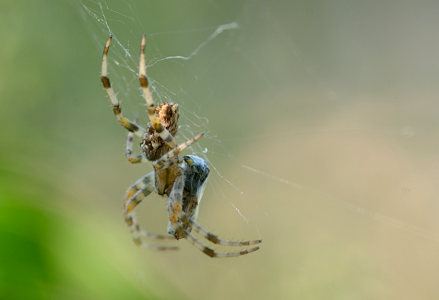 vergr&ouml;&szlig;ern