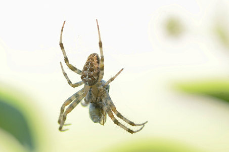 vergr&ouml;&szlig;ern