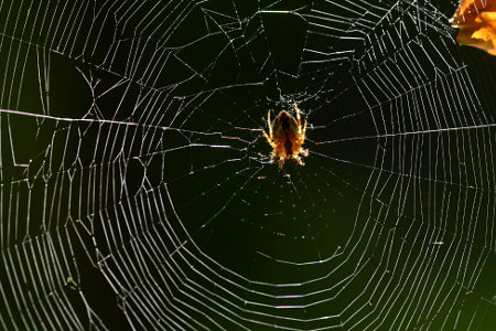 vergr&ouml;&szlig;ern