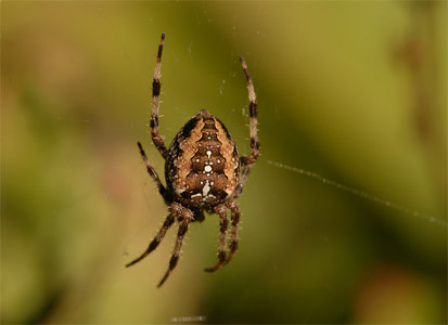 vergr&ouml;&szlig;ern