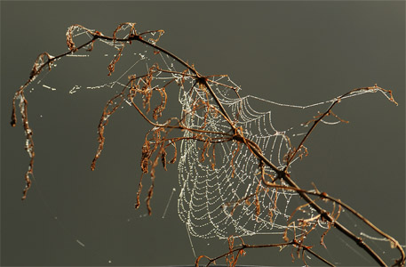 vergr&ouml;&szlig;ern