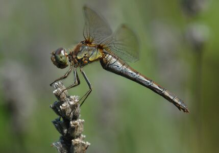 vergr&ouml;&szlig;ern