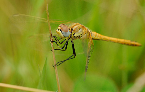 vergr&ouml;&szlig;ern