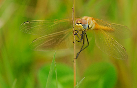 vergr&ouml;&szlig;ern