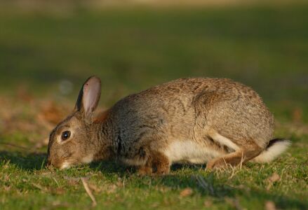 vergr&ouml;&szlig;ern