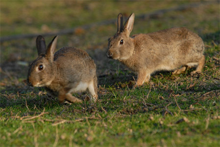 vergr&ouml;&szlig;ern