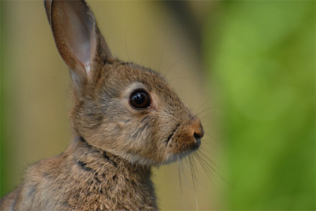 vergr&ouml;&szlig;ern