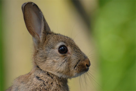 vergr&ouml;&szlig;ern