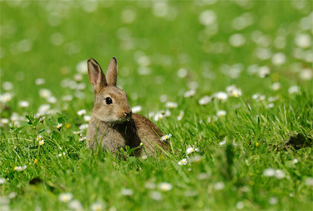 vergr&ouml;&szlig;ern