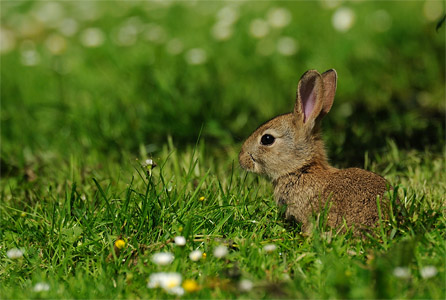 vergr&ouml;&szlig;ern